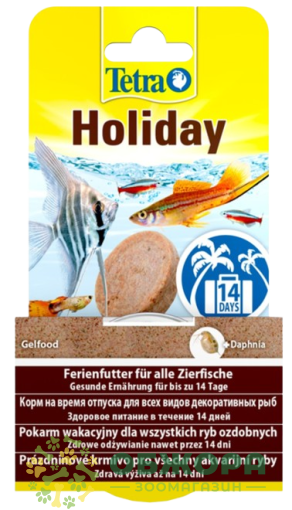 Tetra Min Holiday