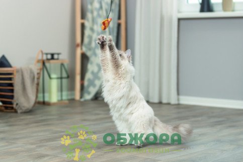 Trixie 45619 вудочка для котів, з рибкою_2