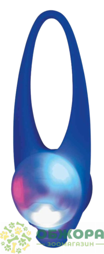 Trixie Flasher