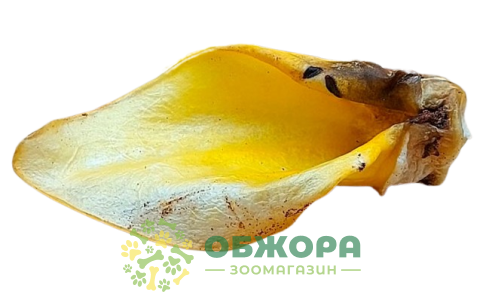 Вухо Яловиче