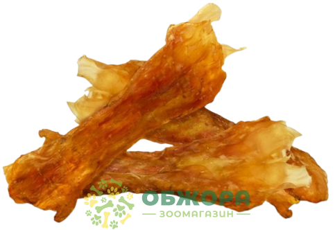 Жила Путова