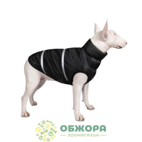 Pet Fashion Big Boss_1