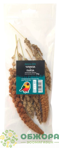 Zelena Zoo Чумиза та Пайза