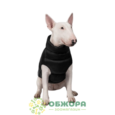 Pet Fashion Big Boss_2