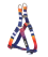 AnimAll шлея