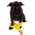 Barksi дентал утенок_4