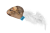 Barksi мышка_1