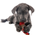 Barksi новогодний олень_2