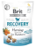 Brit Care Grain Free Recovery Herring with Sea Buckthorn