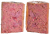 Carnilove Grain Free Puppy Salmon & Turkey_3