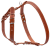 Collar шлея