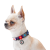 Collar WauDog Nylon_5