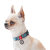 Collar WauDog Nylon_6