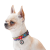 Collar WauDog Nylon_6
