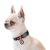 Collar WauDog Nylon_7