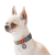 Collar WauDog Nylon_7