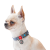 Collar WauDog Re-cotton_6