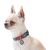 Collar WauDog Re-cotton_6