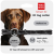 Collar WauDog Smart ID