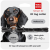 Collar WauDog Smart ID_1