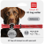 Collar WauDog Smart ID