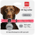 Collar WauDog Smart ID