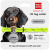 Collar WauDog Smart ID