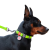 Collar WauDog Waterproof_7