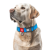 Collar WauDog Waterproof_9