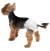 Croci Dog Nappy_4