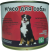 Dog Joy Мясо влажный корм
