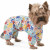 Pet Fashion Бонни_1