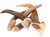 HapPet Happ Natural_6