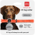 Collar WauDog Smart ID