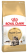 Royal Canin Maine Coon