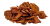 Семеники Бычьи