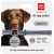 Collar WauDog Smart ID_1