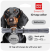 Collar WauDog Smart ID