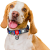 Collar WauDog Nylon_3