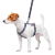 Collar WauDog Nylon_2