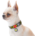 Collar WauDog Nylon Smiley World_3