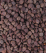 Carnilove True Fresh Sterilised Fish сухой корм для стерилизованных котов, с рыбой, горохом и чечевицей_1