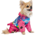 Pet Fashion_1