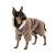 Pet Fashion Alf_2