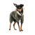 Pet Fashion Alf_1