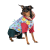 Pet Fashion Alisa_2