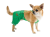 Pet Fashion Арні_1