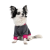 Pet Fashion Bim_1