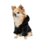 Pet Fashion Black_1
