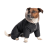 Pet Fashion Black_1